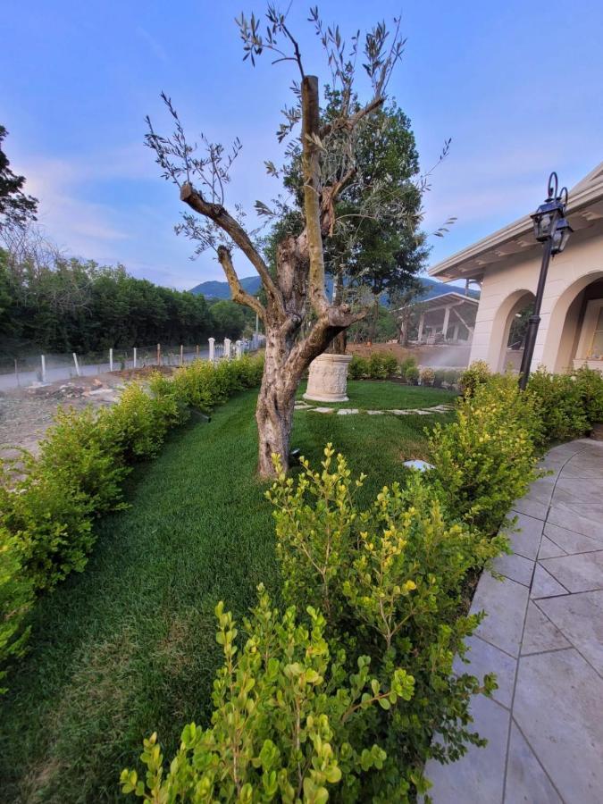 Tenuta Santo Stefano Azienda Agrituristica Santo Stefano del Sole Exterior foto